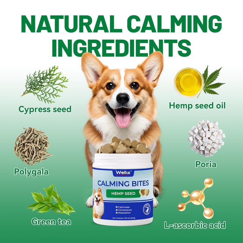Dog Calming Chews, Helps Promote Relaxation, Reduce Stress, Storm Anxiety, Motion Sickness for Dogs (Calming Aid Dog Supplement plus Lecithin, 125 Soft Chews)