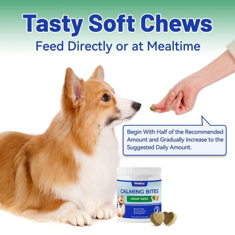 Dog Calming Chews, Helps Promote Relaxation, Reduce Stress, Storm Anxiety, Motion Sickness for Dogs (Calming Aid Dog Supplement plus Lecithin, 125 Soft Chews)