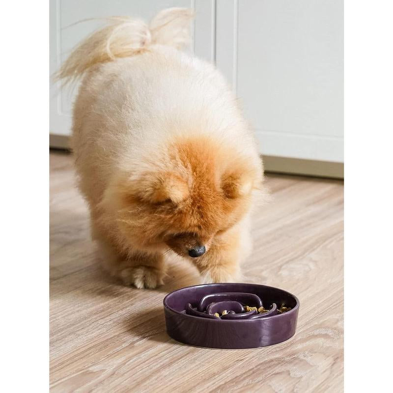 Ceramic Slow Feeder Dog Bowls Small Breed, 0.6 Cups Dog Food Dish for Fast Eaters, Puzzle Bowl for Small Dogs and Cats,Purple Feeding Pet Supplies