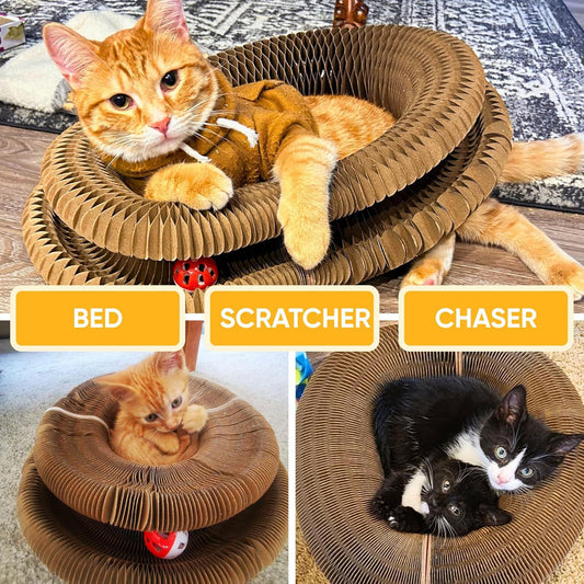 Giocattolo per gatti con campanellini, tiragraffi a fisarmonica per gatti