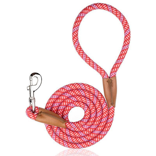 Petsafe Winter Dog Leash with Built-In Thermal Mitten 55In Reflective Strip Harness Non-Slip Metal Buckle No-Pull Design for Small Medium Large Dogs