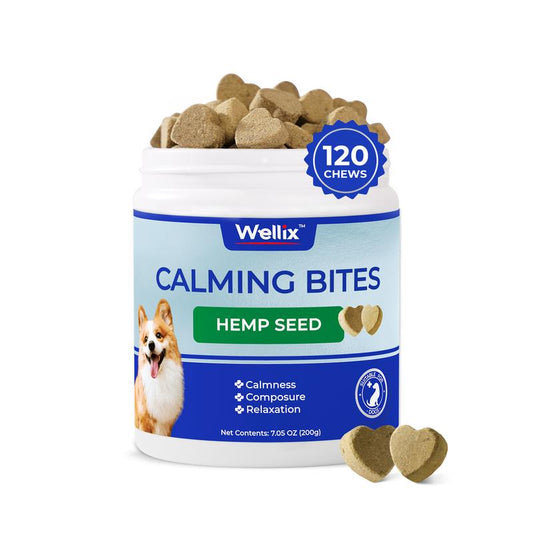Dog Calming Chews, Helps Promote Relaxation, Reduce Stress, Storm Anxiety, Motion Sickness for Dogs (Calming Aid Dog Supplement plus Lecithin, 125 Soft Chews)